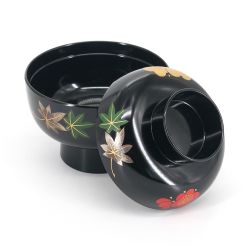 Japanese bowl with lacquered effect lid - PATANKABA