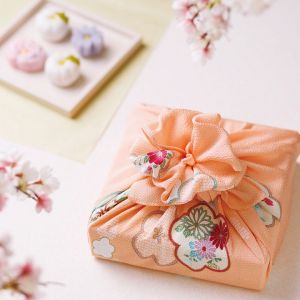 Furoshiki japonais motif Prune Corail , UME KORARU