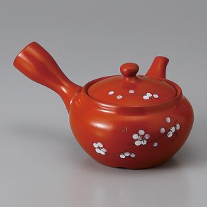 Teiera giapponese in ceramica kyusu con filtro integrato e interno smaltato, marrone - SHIROI SAKURA